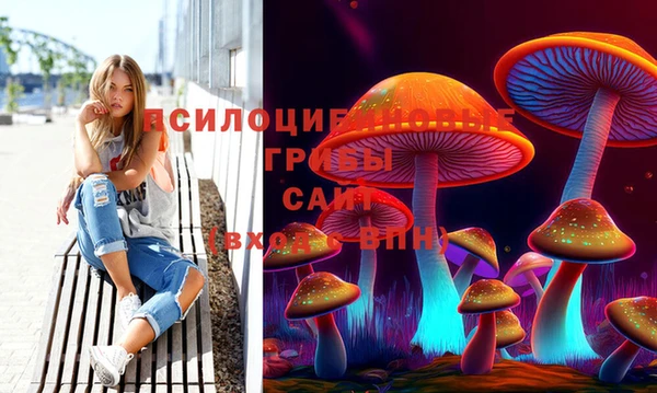 метамфетамин Аркадак